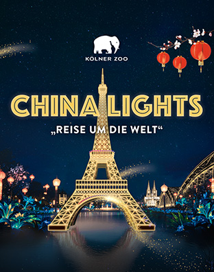 China Lights