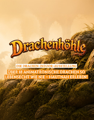 Drachenh&ouml;hle - Die Drachen-Indoor-Ausstellung