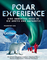 Polar Experience