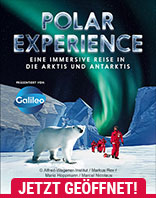 Polar Experience