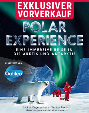 Polar Experience