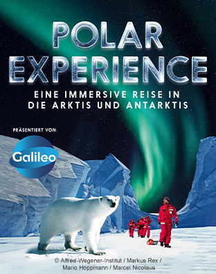 Polar Experience