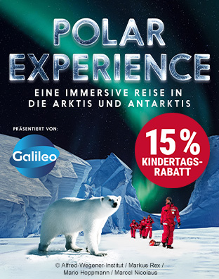 Polar Experience
