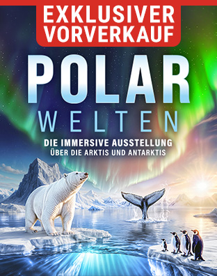 Polarwelten