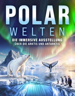 Polarwelten