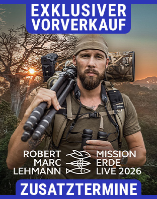 Robert Marc Lehmann